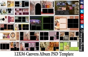 12X36 Canvera Album PSD Template