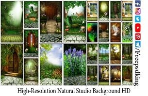 High-Resolution Natural Studio Background HD