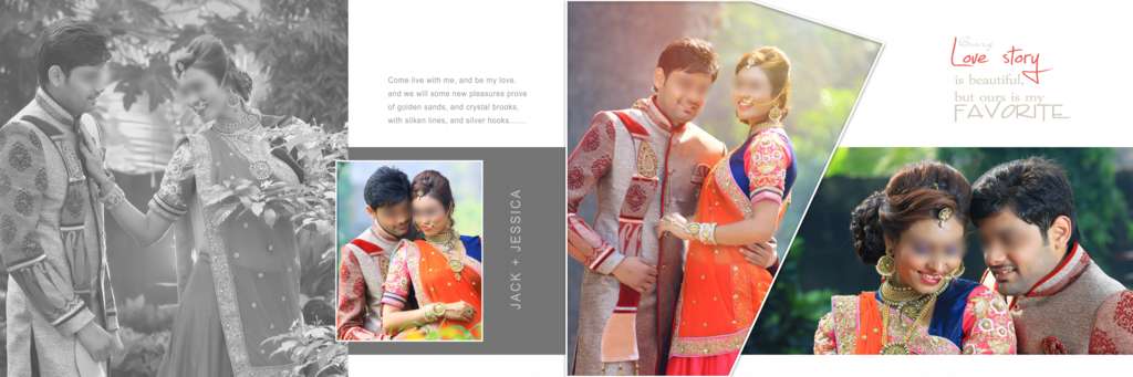 wedding album 12x36 dm