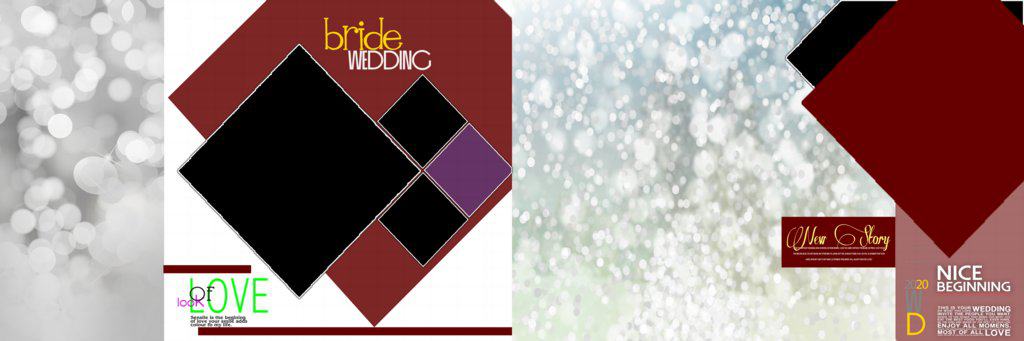 New 2020 Wedding Album Design 12X36 PSD Templates Download