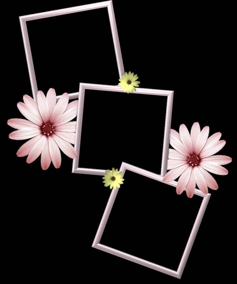Photo Frame PNG Images Free Download
