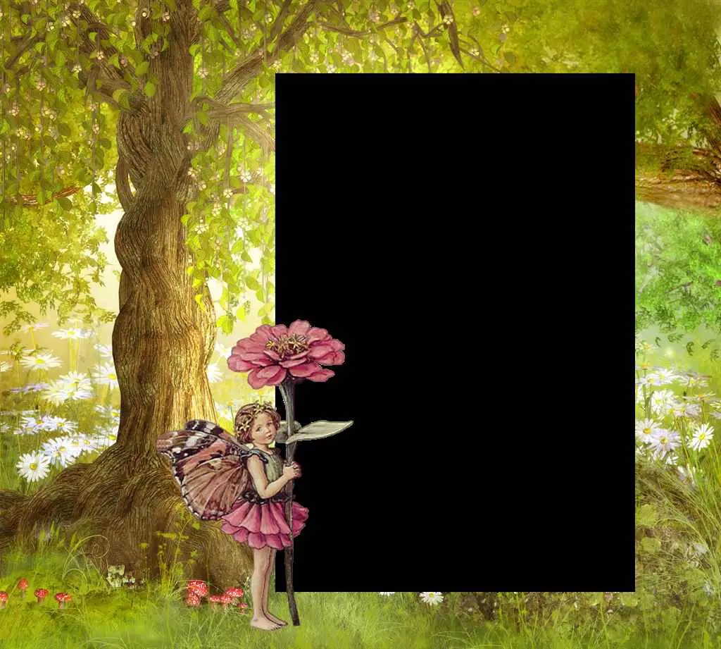 Stylish Photo Frame PNG