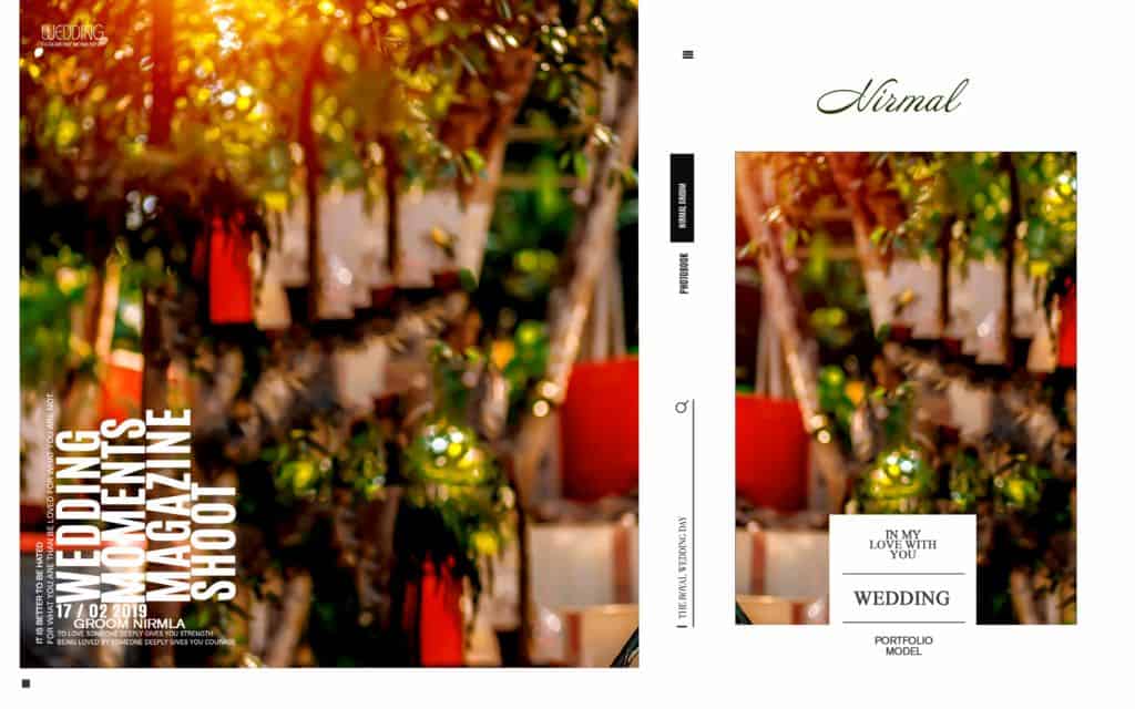 15 X 24 Wedding Album Design