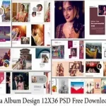 Canvera Album Design 12X36 PSD Free Download 2022