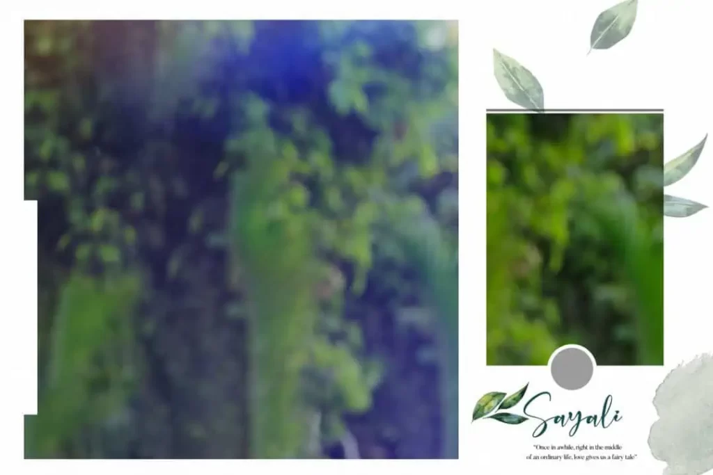 24X16 Album PSD Free Download