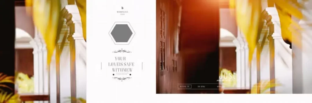 Background for Wedding Album