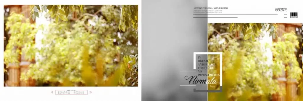 Background for Wedding Album