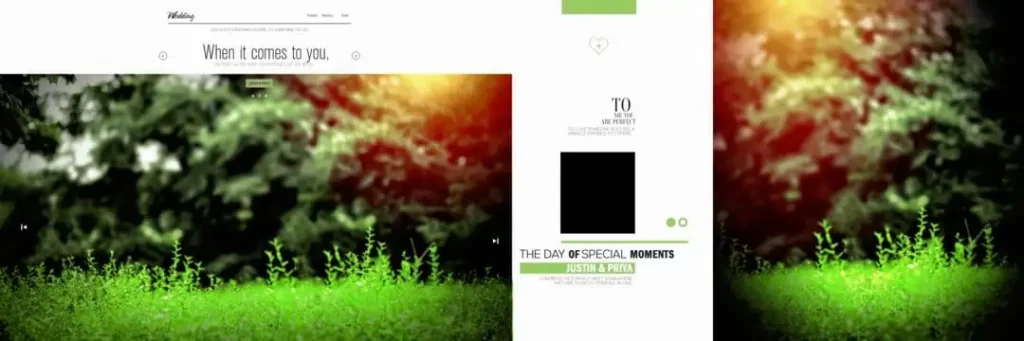 Background for Wedding Album