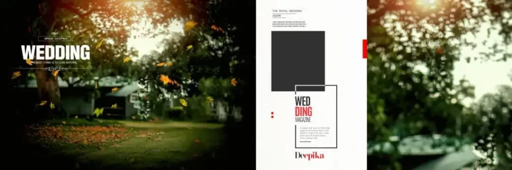 Background for Wedding Album