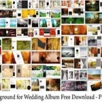 Background for Wedding Album