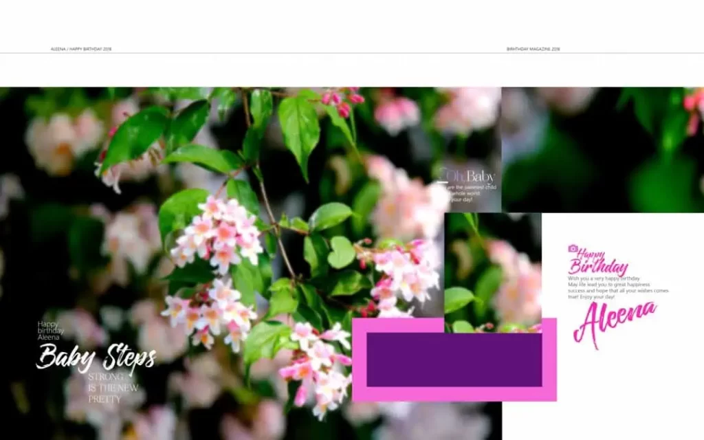 15X24 Birthday Album Design PSD