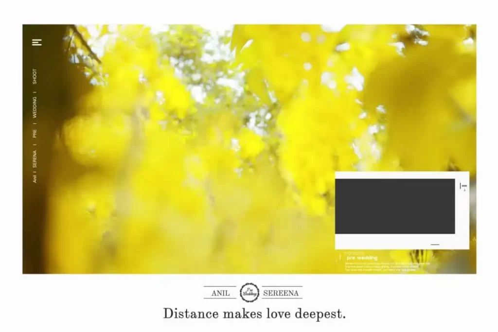 Save The Date Background