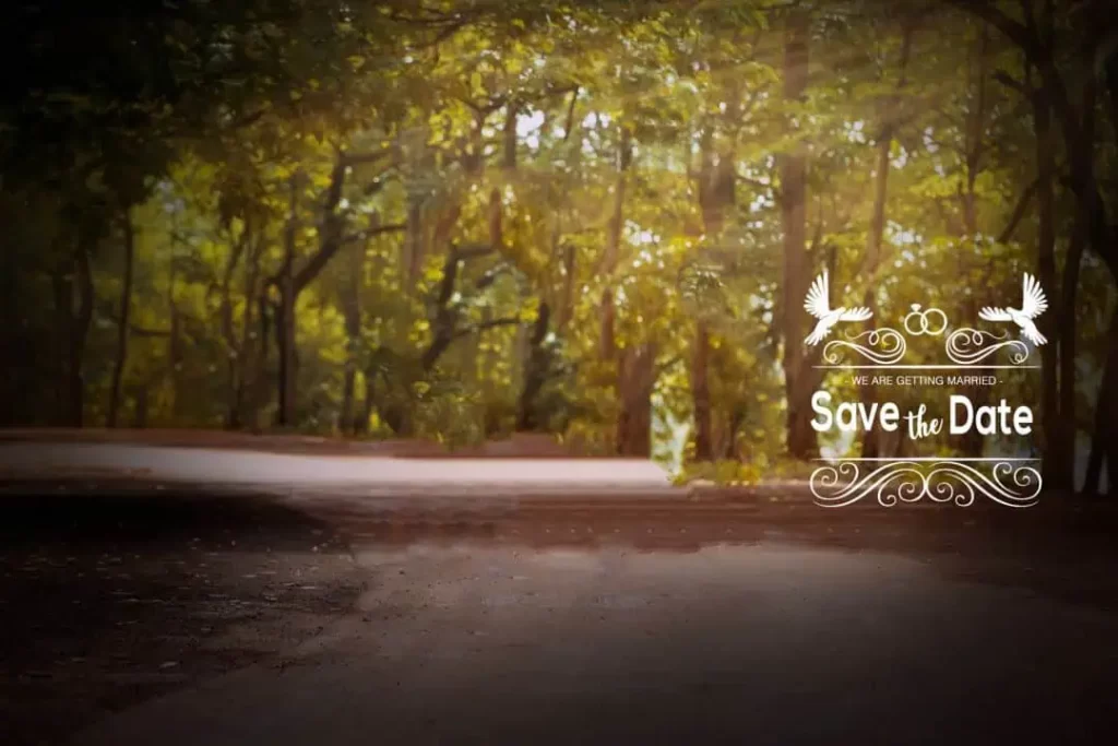 Save The Date Background