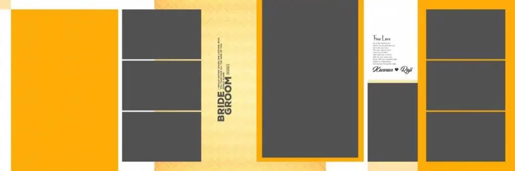 Haldi PSD 12X36 Free Download