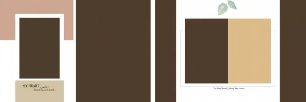 Karizma Album Design 12X36 PSD 2024